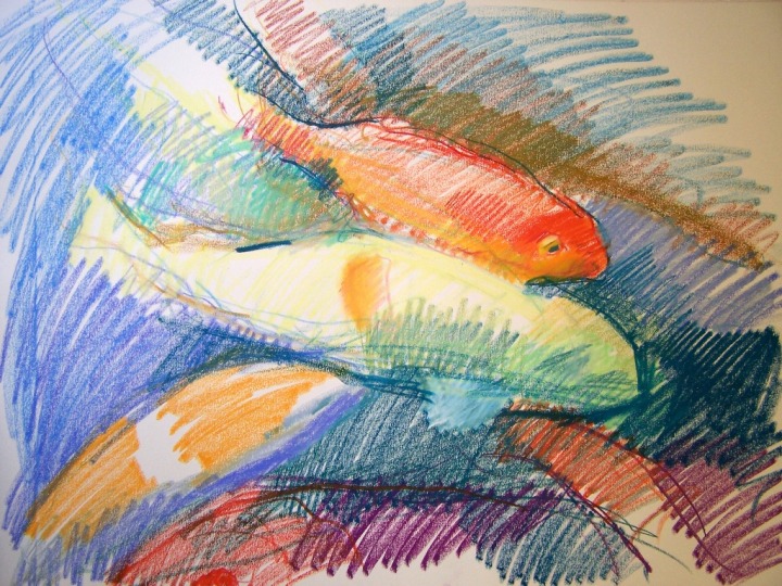 koi drawing fast fish group